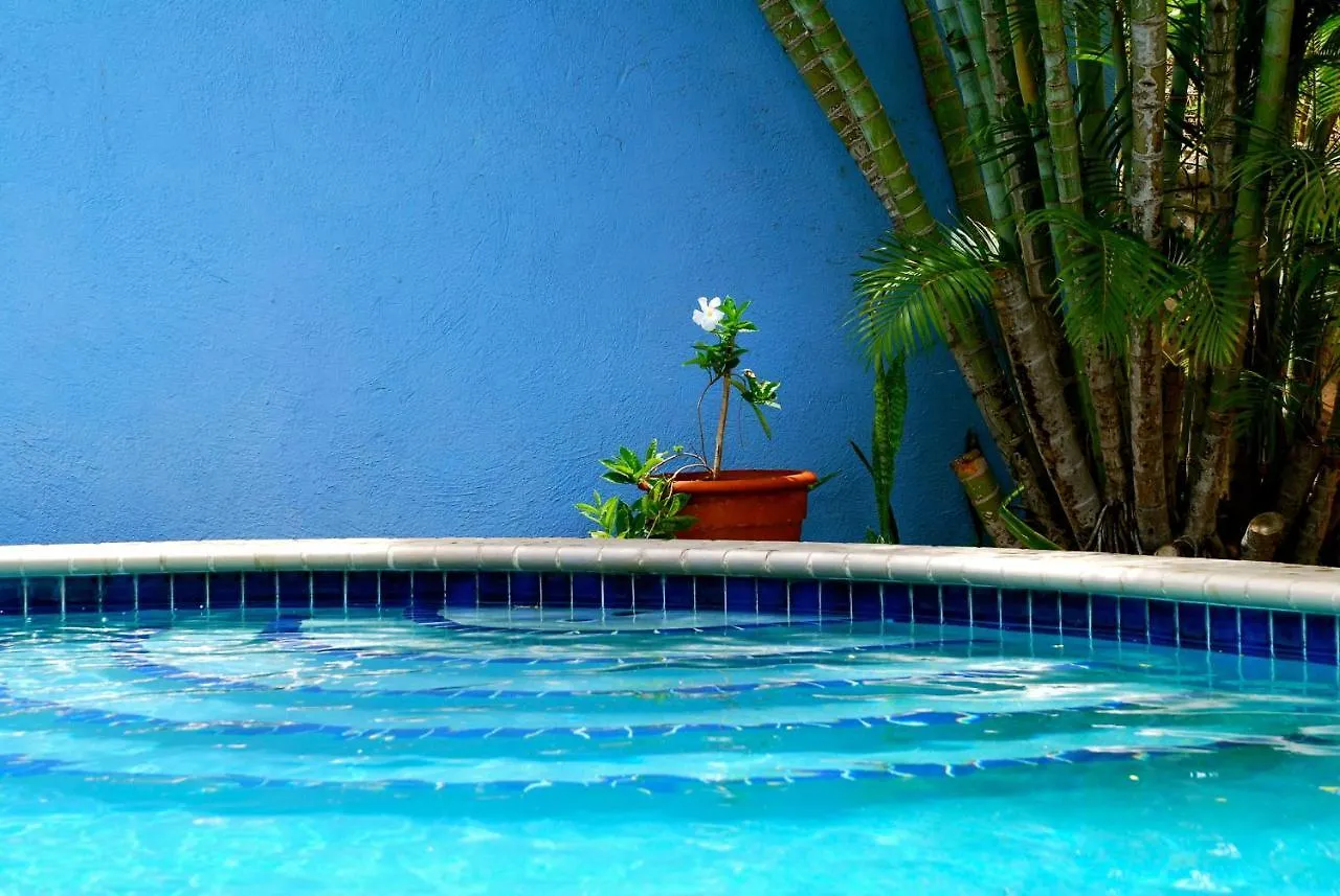 Caribbean Flower Apartments Willemstad