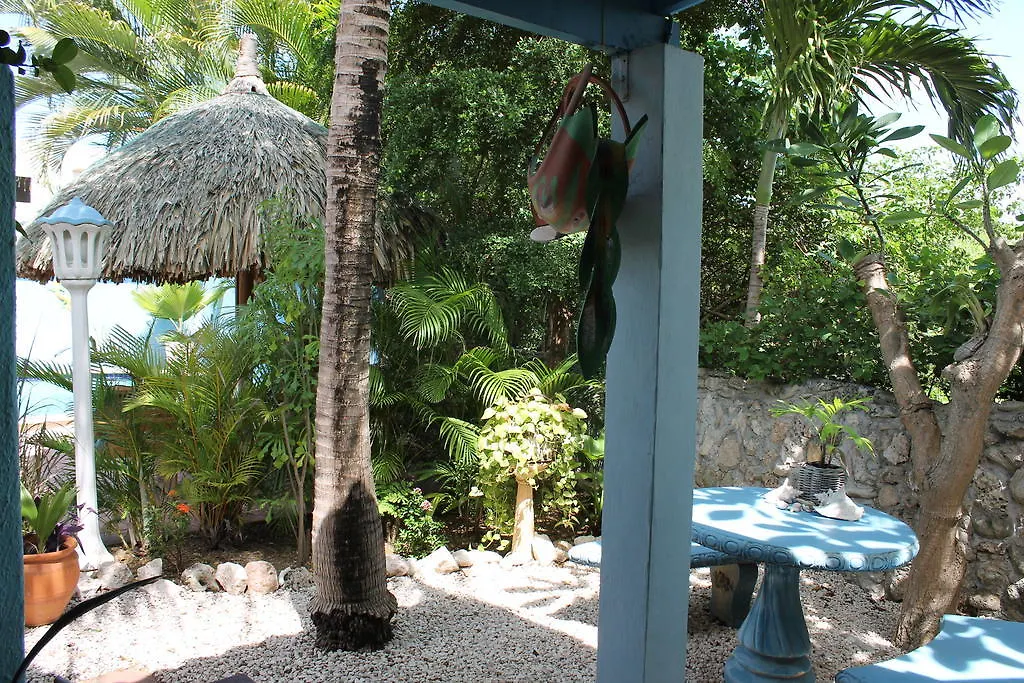 Caribbean Flower Apartments Willemstad